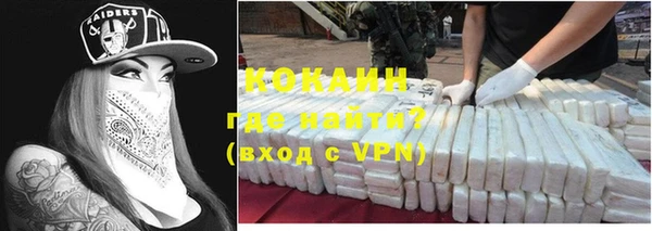 крисы Баксан