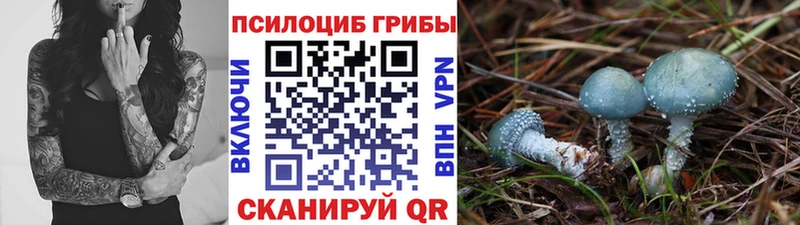 магазин продажи   Лесной  Псилоцибиновые грибы прущие грибы 